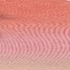 82.0504